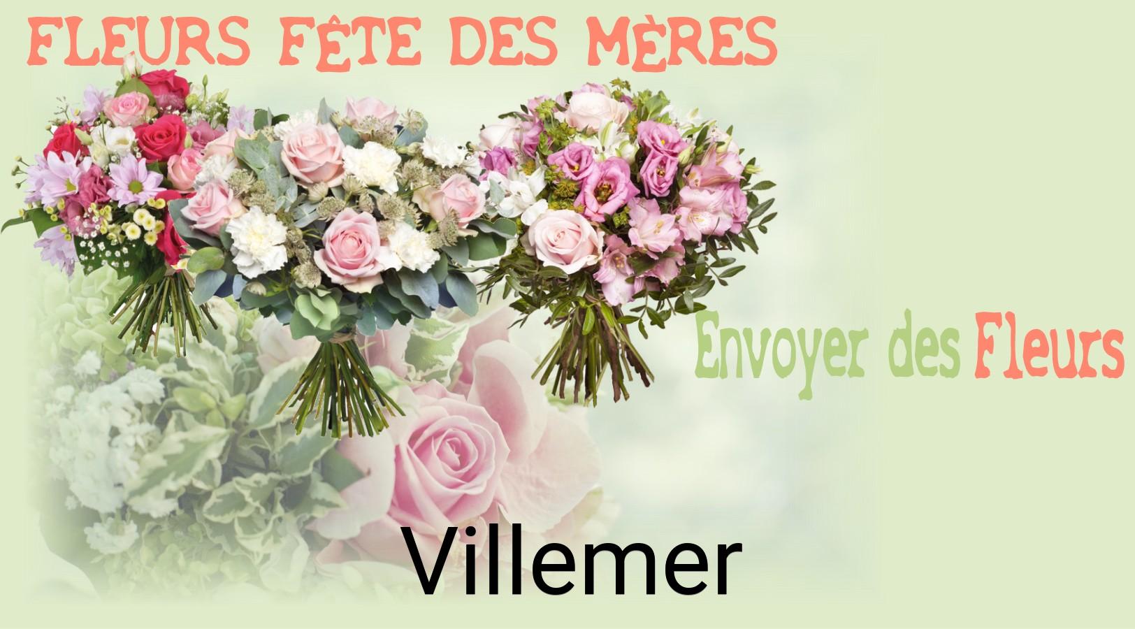Bouquet de Fête des Mères livré à Villemer